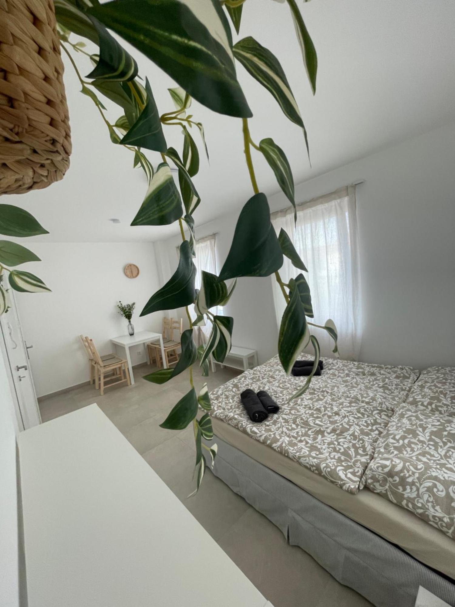 Langenzersdorf Apartment מראה חיצוני תמונה